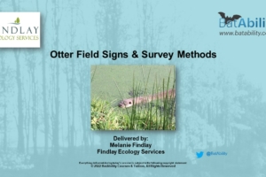 Otter – Field Signs & Survey Methods