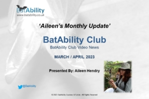 Aileen’s Monthly Newsletter – Mar 2023/Apr 2023