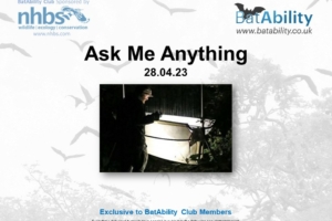 Ask Me Anything – APR 2023