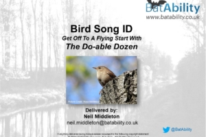 Bird Songs – Get Started With The Do-able Dozen