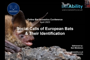 Social Calls of European Bats & Their Identification