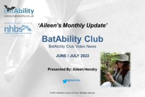 Aileen’s Monthly Newsletter – June 2023/July 2023