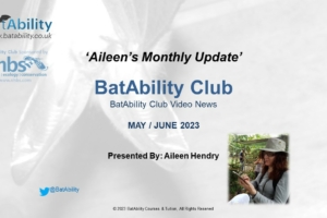 Aileen’s Monthly Newsletter – May 2023/June 2023