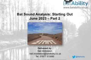 Bat Sound Analysis – Getting Started – Part 2 of 2