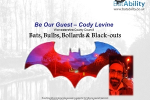 ‘Be Our Guest’ – Cody Levine – Bats, Bulbs, Bollards & Black-outs