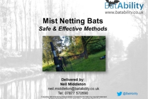Mist Netting Bats – Safe & Effective Methods