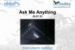 Ask Me Anything – JULY 2023