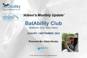 Aileen’s Monthly Newsletter – Aug 2023/Sept 2023