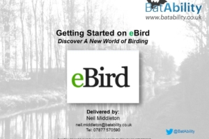 Getting Started with eBird