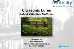 Ultrasonic Bat Lures – Safe & Effective Use