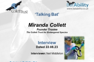 ‘Talking Bat’ – Miranda Collett – Collett Trust for Endangered Species