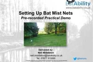 Setting Up Bat Mist Nets – Practical Demo
