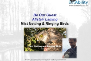 Mist Netting & Ringing Birds – Alistair Laming