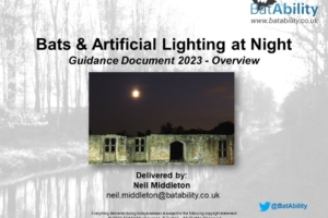 Bats & Artificial Lighting at Night – Guidance 2023