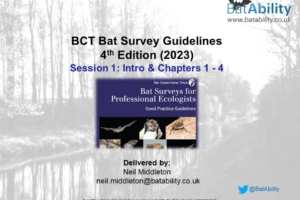 BCT Bat Survey Guidelines 4th Edition – Session 1 (CH1-4)