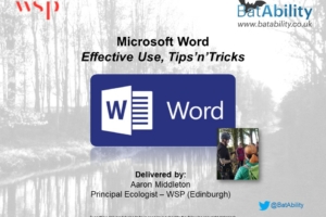 MS Word – Effective Use, Tricks & Tips