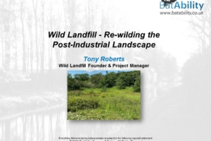 Rewilding Post Industrial Landscape – Wild Landfill