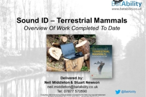 Sound ID – Terrestrial Mammals