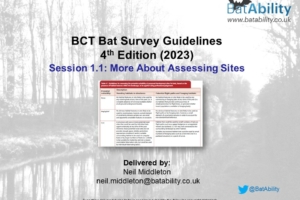 BCT Bat Survey Guidelines 4th Edition – Session 1.1 – Assessments (PEA Chapter 4)