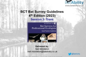 BCT Bat Survey Guidelines 4th Edition – Session 3 – Trees