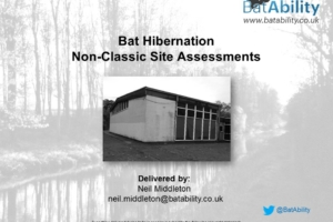 Bat Hibernation Assessments – Non-Classic Sites (BCT Guidelines 2023 Perspective)