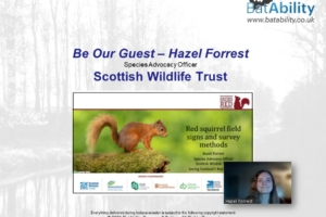 Red Squirrel Field Signs & Survey Methods