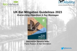UK Bat Mitigation Guidelines 2023