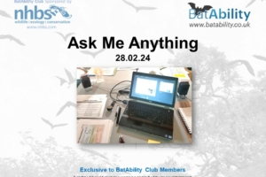 Ask Me Anything – FEB 2024