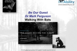 Walking With Bats – The Story Behind The Album