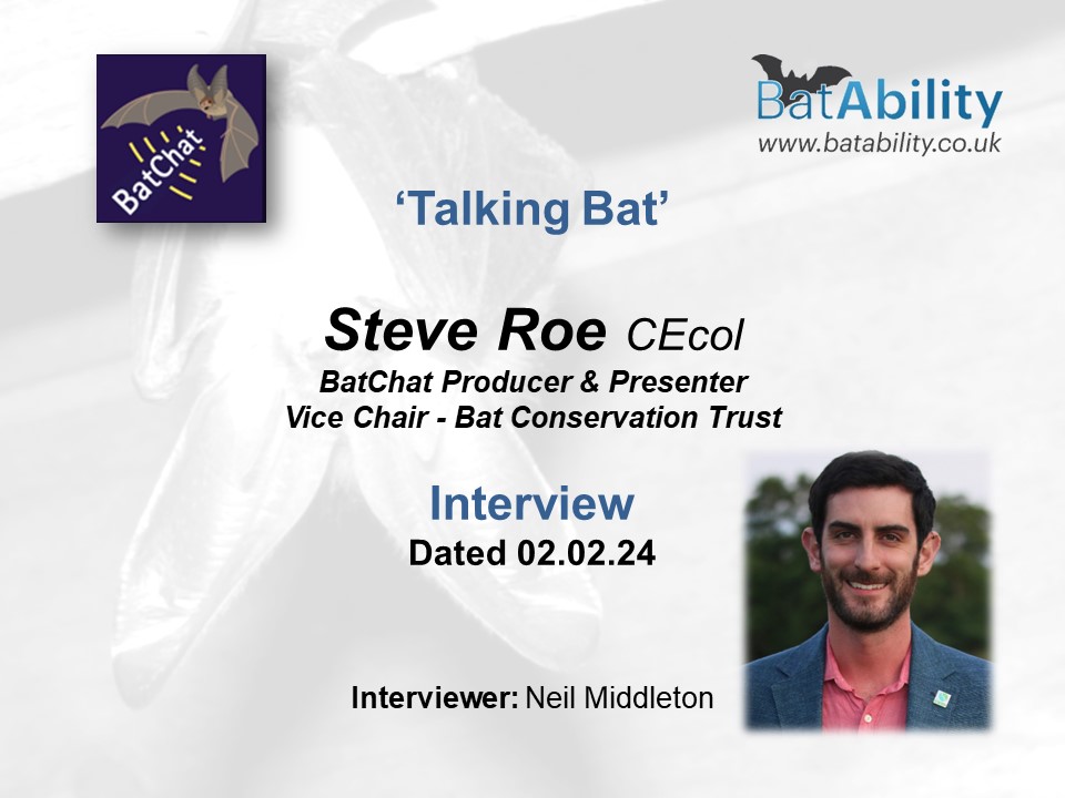 ‘Talking Bat’ – Steve Roe