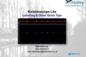 Kaleidoscope Lite – Labels & Other Quick Tips