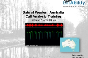 Bats of Western Australia – Call Analysis Training – Session 1 (23.04.24)