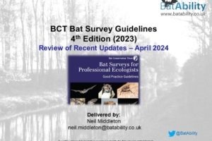 BCT Bat Survey Guidelines 4th Edition – Review of Updates (April 2024)