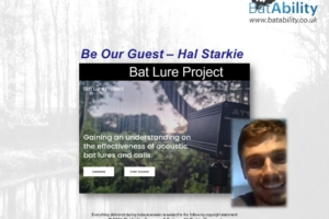 Bat Lure Project – Understanding Effectiveness with Hal Starkie