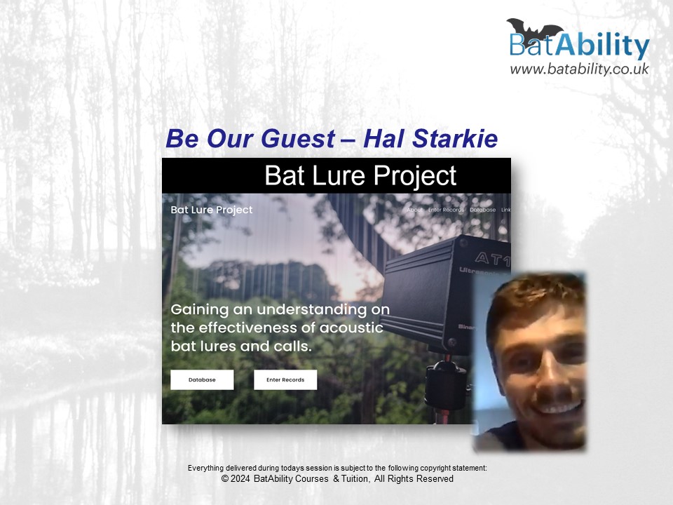 Bat Lure Project – Understanding Effectiveness with Hal Starkie