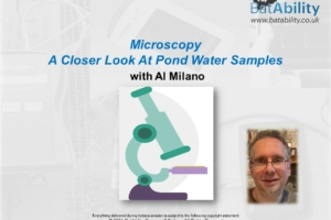 Microscopy – Pond Water Samples – Al Milano