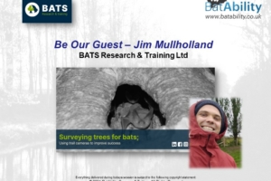 Be Our Guest – Jim Mullholland – Surveying Trees For Bats (Using Trail Cameras)