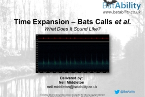 Time Expansion – What Does It Sound Like?
