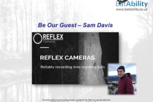 Be Our Guest – Sam Davis – Reflex Cameras – Reliably Recording Tree Roosting Bats