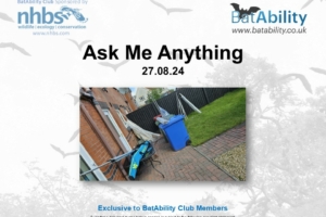 Ask Me Anything – AUG 2024