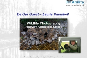 Laurie Campbell – Wildlife Photography Fieldwork, Camouflage & Hides