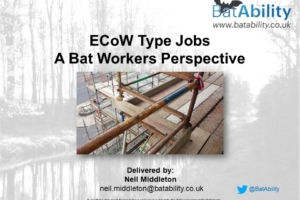 ECoW Type Jobs – Bat Workers Perspective