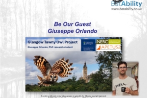 ‘Be Our Guest’ – Giuseppe Orlando – Glasgow Tawny Owl Project