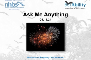 Ask Me Anything – NOV 2024