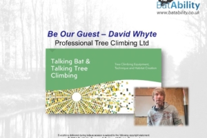 ‘Be Our Guest’ – David Whyte – Tree Climbing Equipment, Technique & Habitat Creation