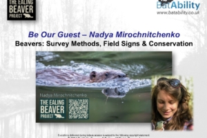 ‘Be Our Guest’ – Nadya Mirochnitchenko – Beavers: Survey Methods, Field Signs & Conservation