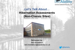 Let’s Talk About Bat Hibernation Assessments (Non-Classic Sites)