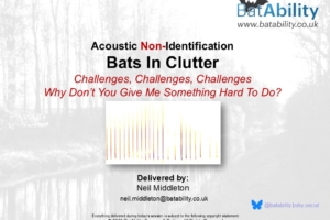 Acoustic Identification – Bats In Clutter – Challenges