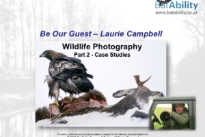 Laurie Campbell – Wildlife Photography Part 2 – Case Studies