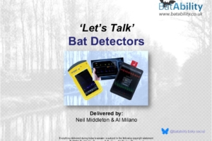 ‘Let’s Talk’ – Bat Detectors